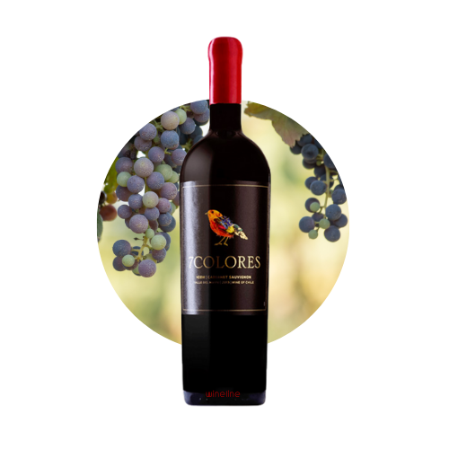 Khám phá 7Colores Icon Cabernet Sauvignon, rượu vang đỏ cao cấp từ Chile với hương vị phong phú. Hoàn hảo cho bữa tiệc và những khoảnh khắc đáng nhớ!