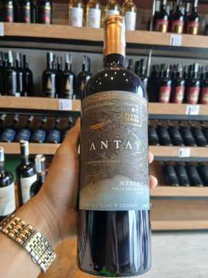 Antay Block Series Merlot