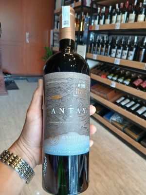 Antay Block Series Carmenere