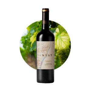 Antay Cabernet Sauvignon