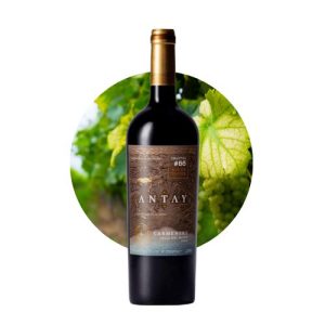 Antay Block Series Carmenere