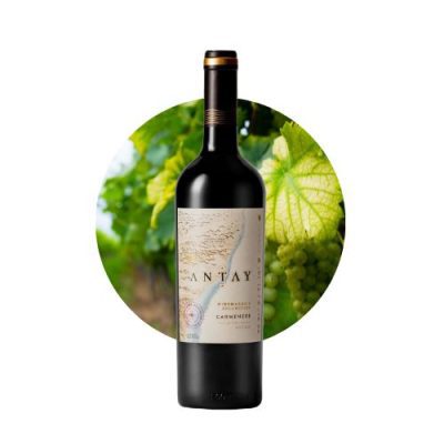 Antay Carmenere
